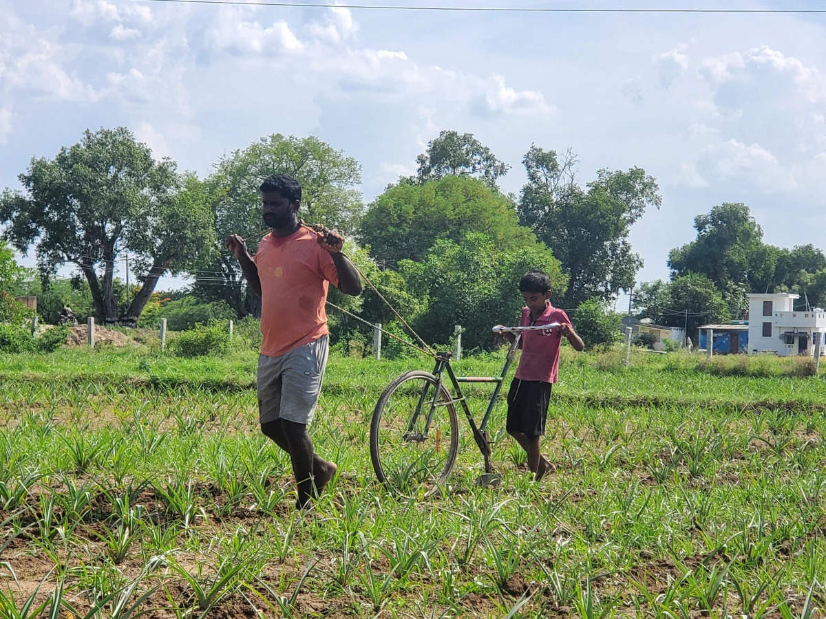 Farmer transformed his son's bicycle into a plough