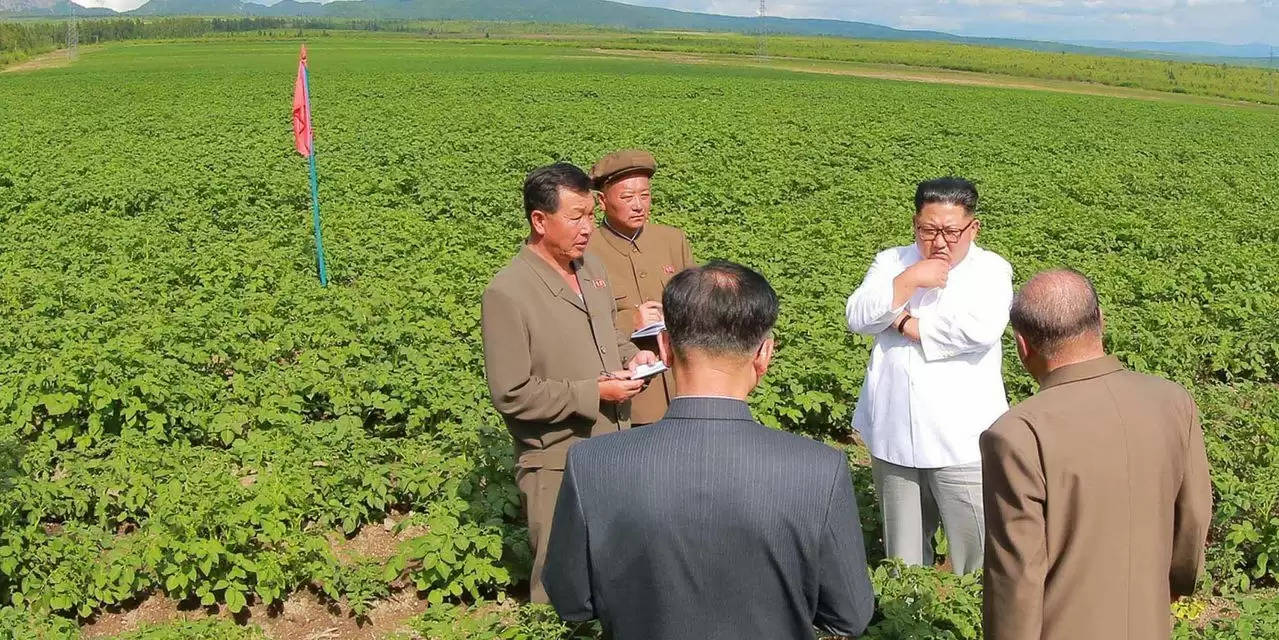 Kim jong Un in agriculture field